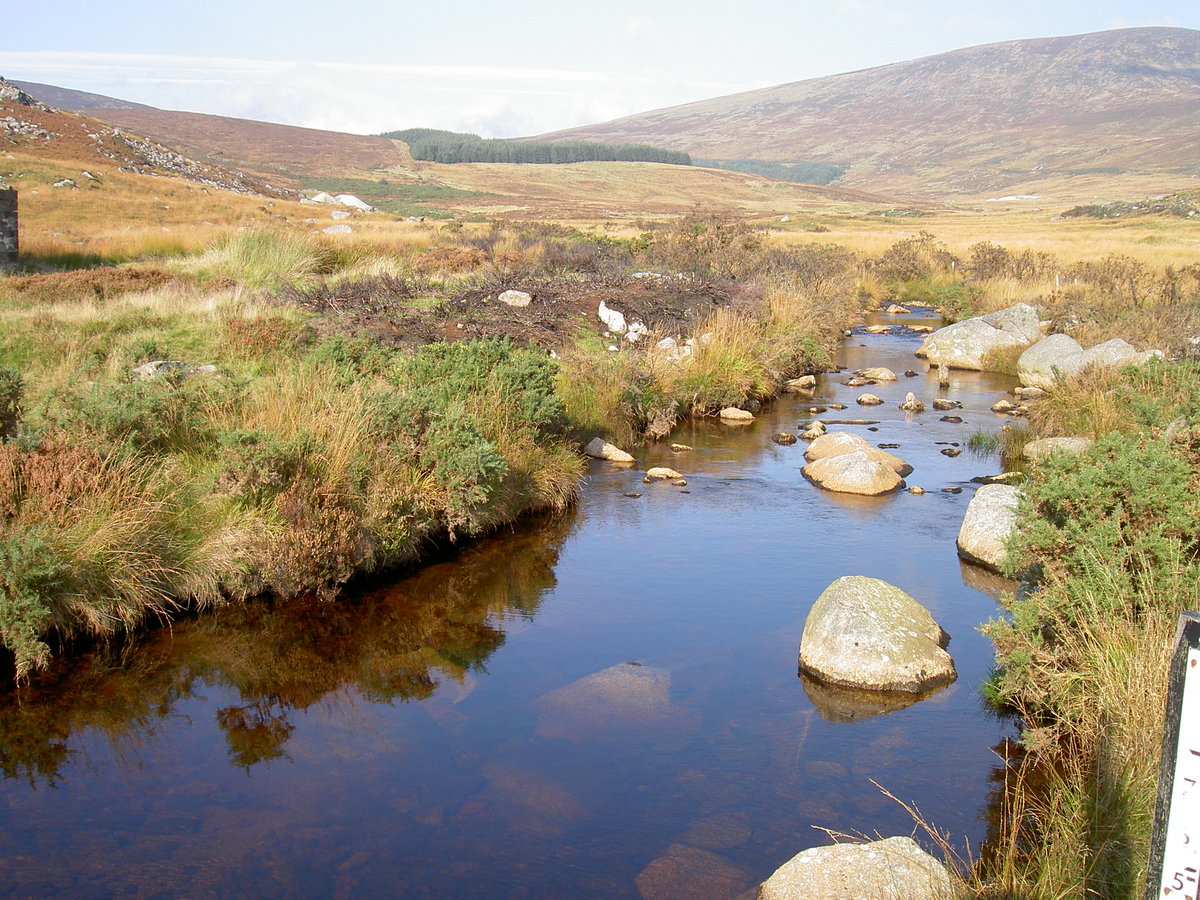 Kleiner Bach am St. Kevins Way in den Wicklow Mountains (13.10.2007)