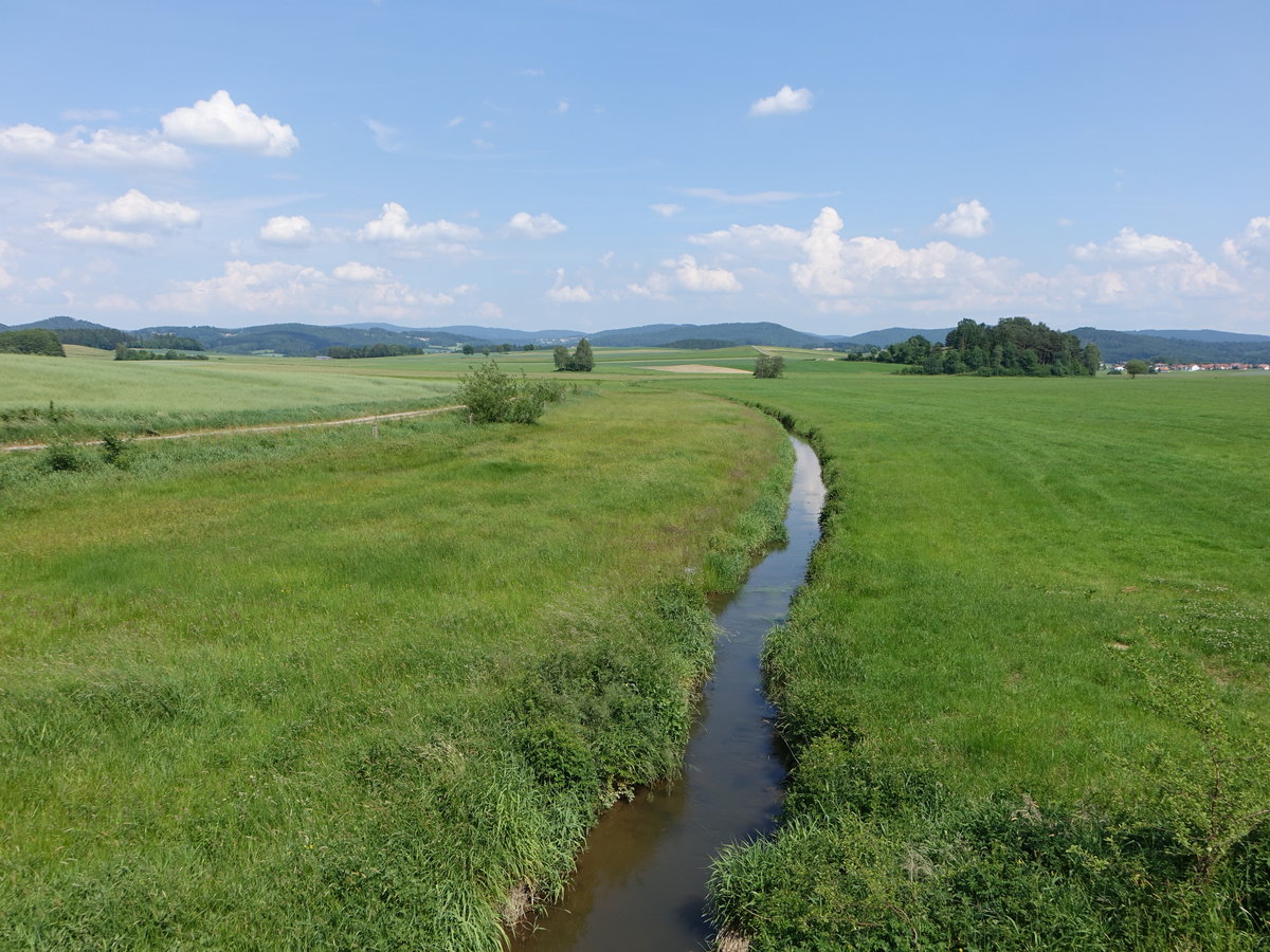 Kleiner Bach bei Döfering im Naturpark Oberer Bayerischer Wald (03.06.2017)