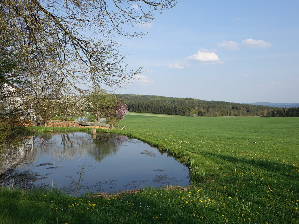 Kleiner Fischweiher in Groppenheim, Oberpfalz (22.04.2018)