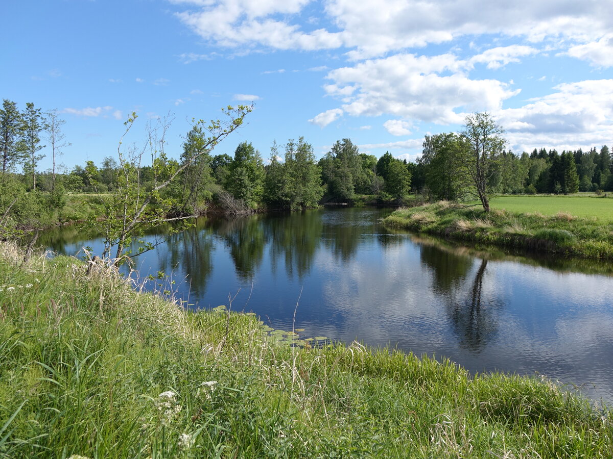 Kleiner Fluss Eman bei Mörlunda an der N34, Smaland (12.06.2016)