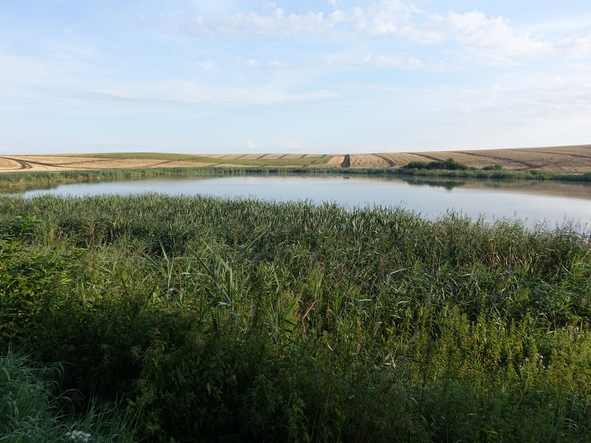 Kleiner See bei Reszel / Rößel in der Woiwodschaft Ermland-Masuren (04.08.2021)