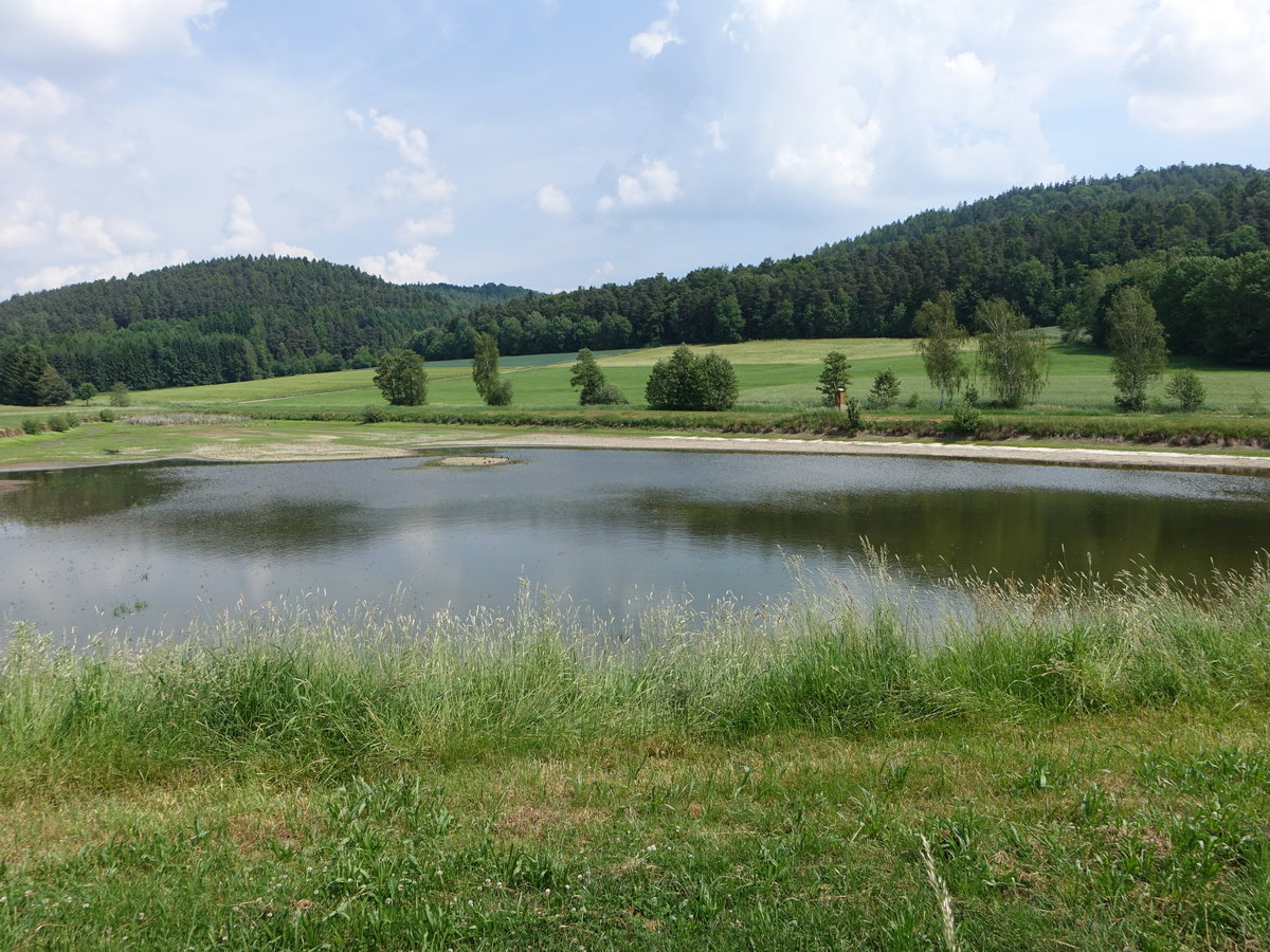 Kleiner See bei Stamsried im Naturpark Oberer Bayerischer Wald (03.06.2017)