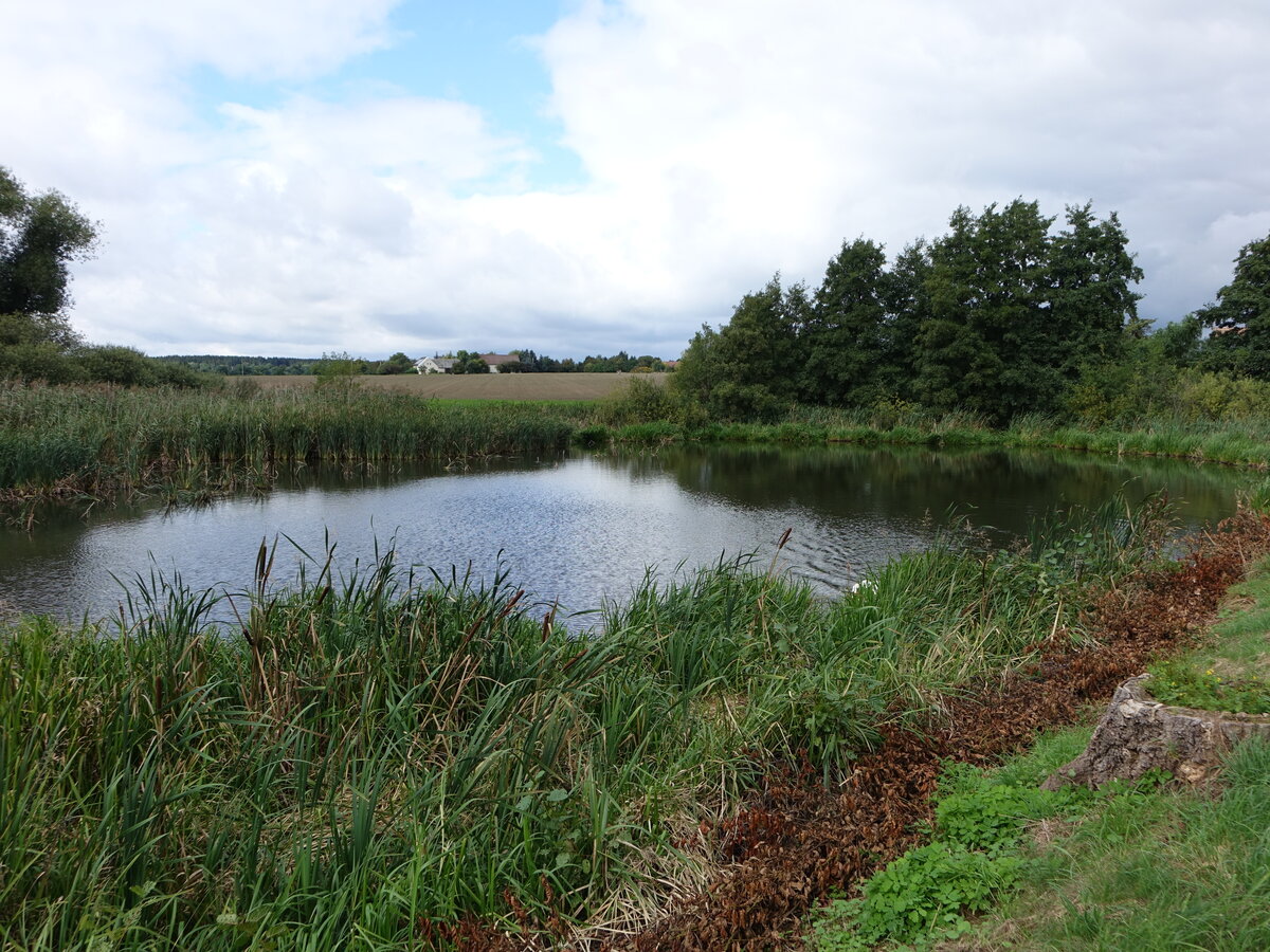 Kleiner See beim Schloß Gersdorf, Lkr. Görlitz (17.09.2021)