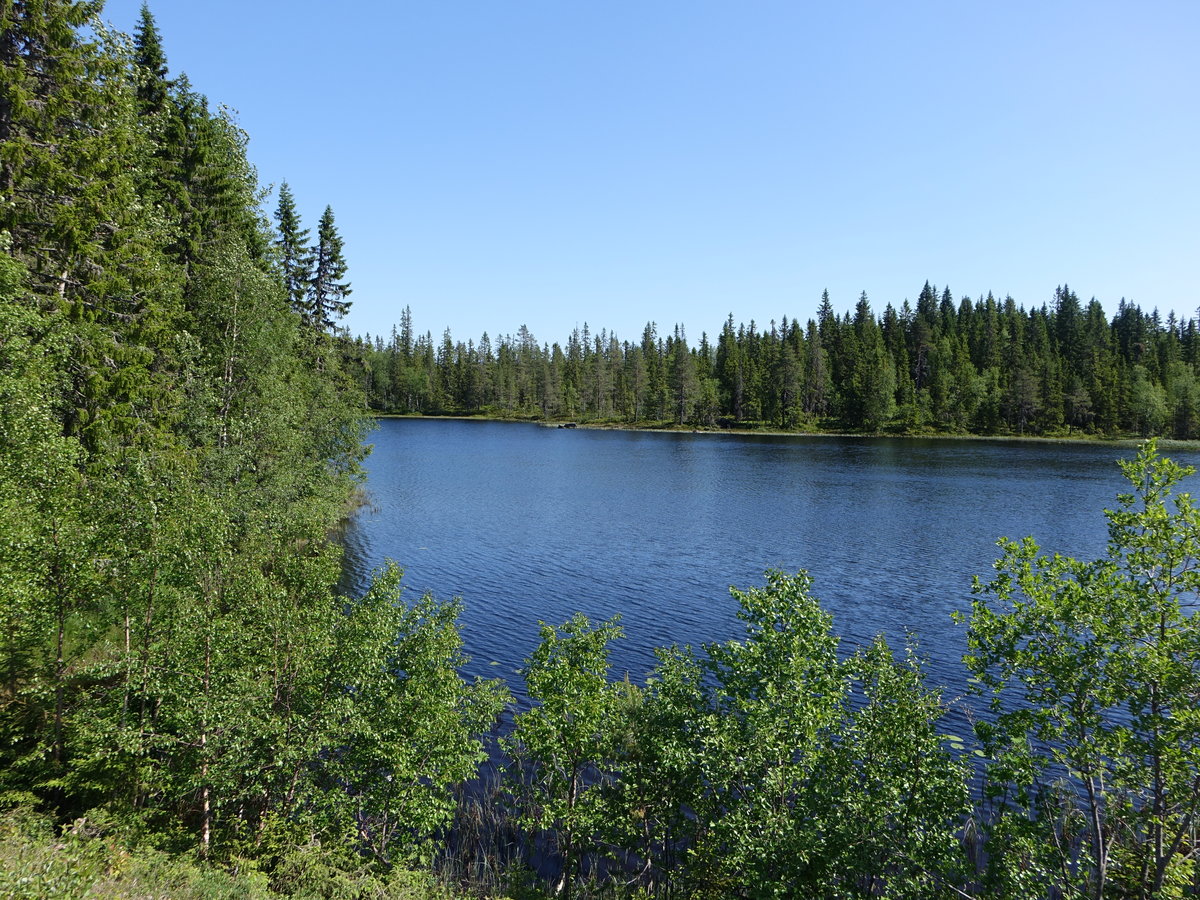 Kleiner See im Koppangen Nationalpark, Dalarnas Län (31.05.2018)