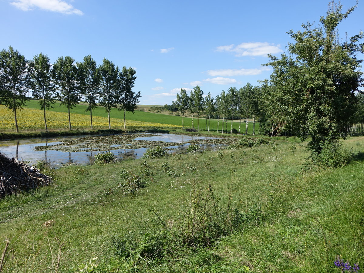 Kleiner Teich bei Laprade, Charente (23.07.2018)