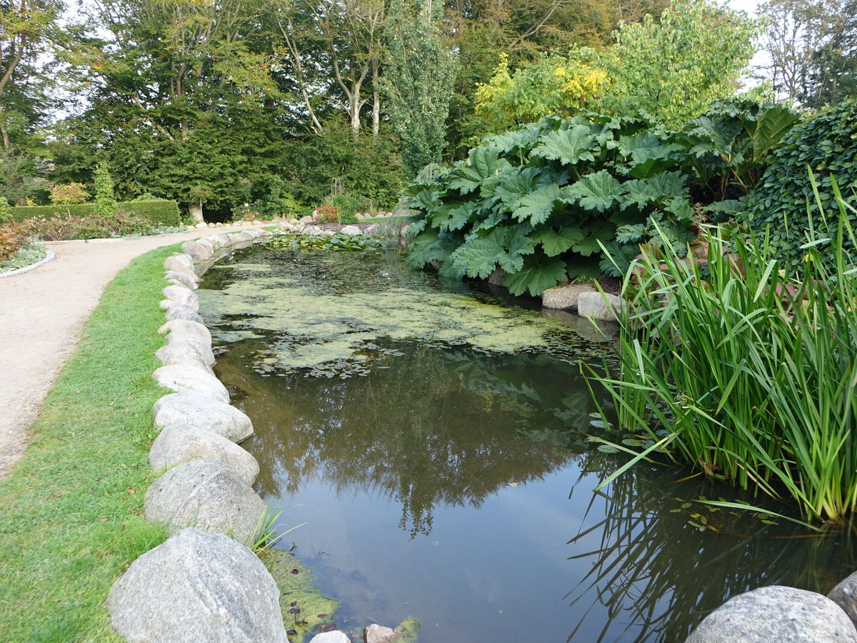 Kleiner Teich im Botanischen Garden von Bangsbo (23.09.2020)