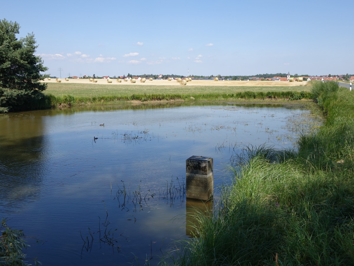 Kleiner Weiher bei Kirchfembach im Landkreis Fürth / Mittelfranken (02.08.2015)