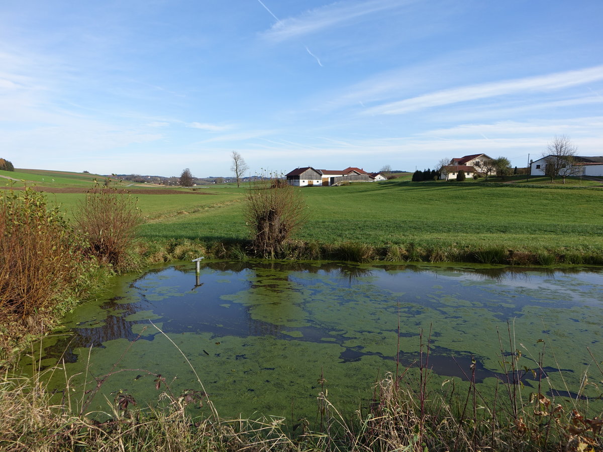 Kleiner Weiher bei Mistlbach, Kreis Passau (20.11.2016)