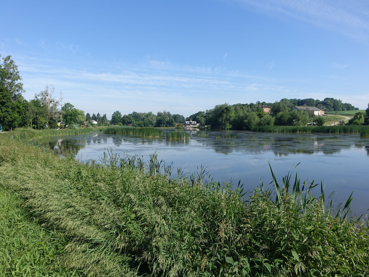 Klementowice See bei Kurow, Woiwodschaft Lublin (15.06.2021)