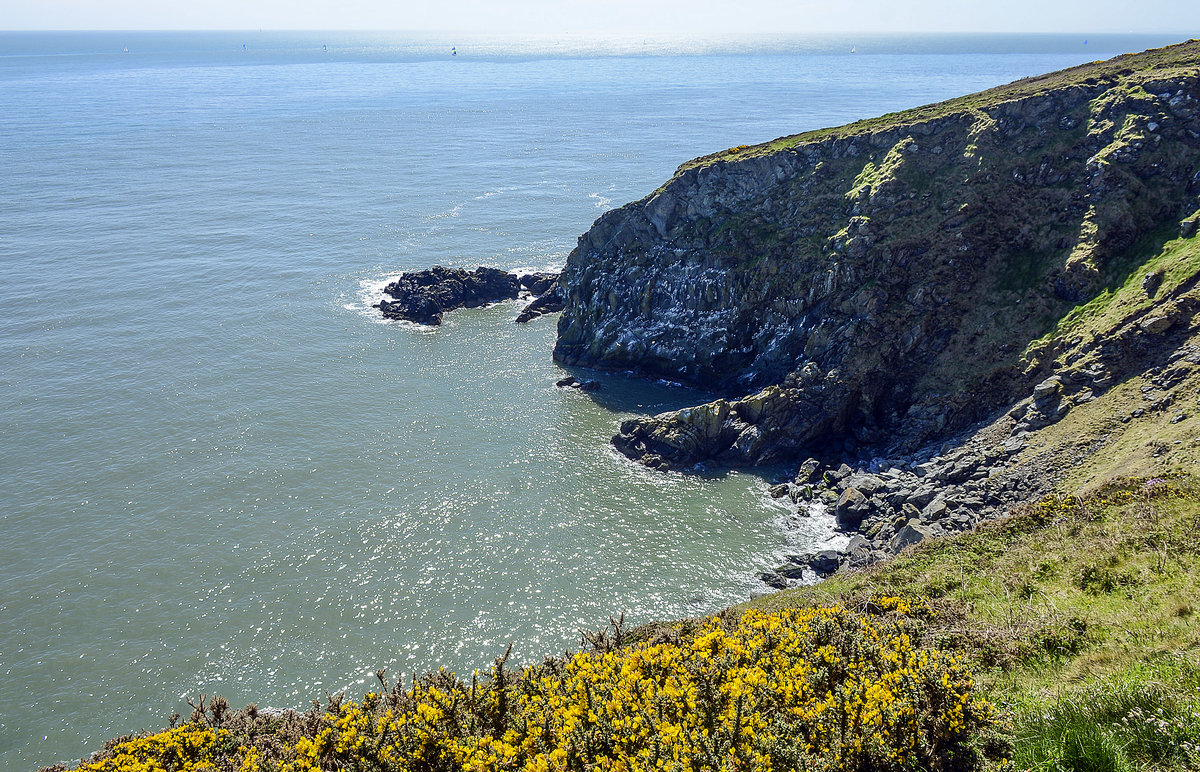 Klippen auf Howth Head - Ursprünglich eine Insel, ist Howth Head heute durch einen schmalen Landstreifen mit dem Festland verbunden. Howth Head bildet den nördlichen Abschluss der weitgespannten Sichel der Dubliner Bucht, die im Süden mit Killiney Head abschließt.
Aufnahme: 12. Mai 2018.