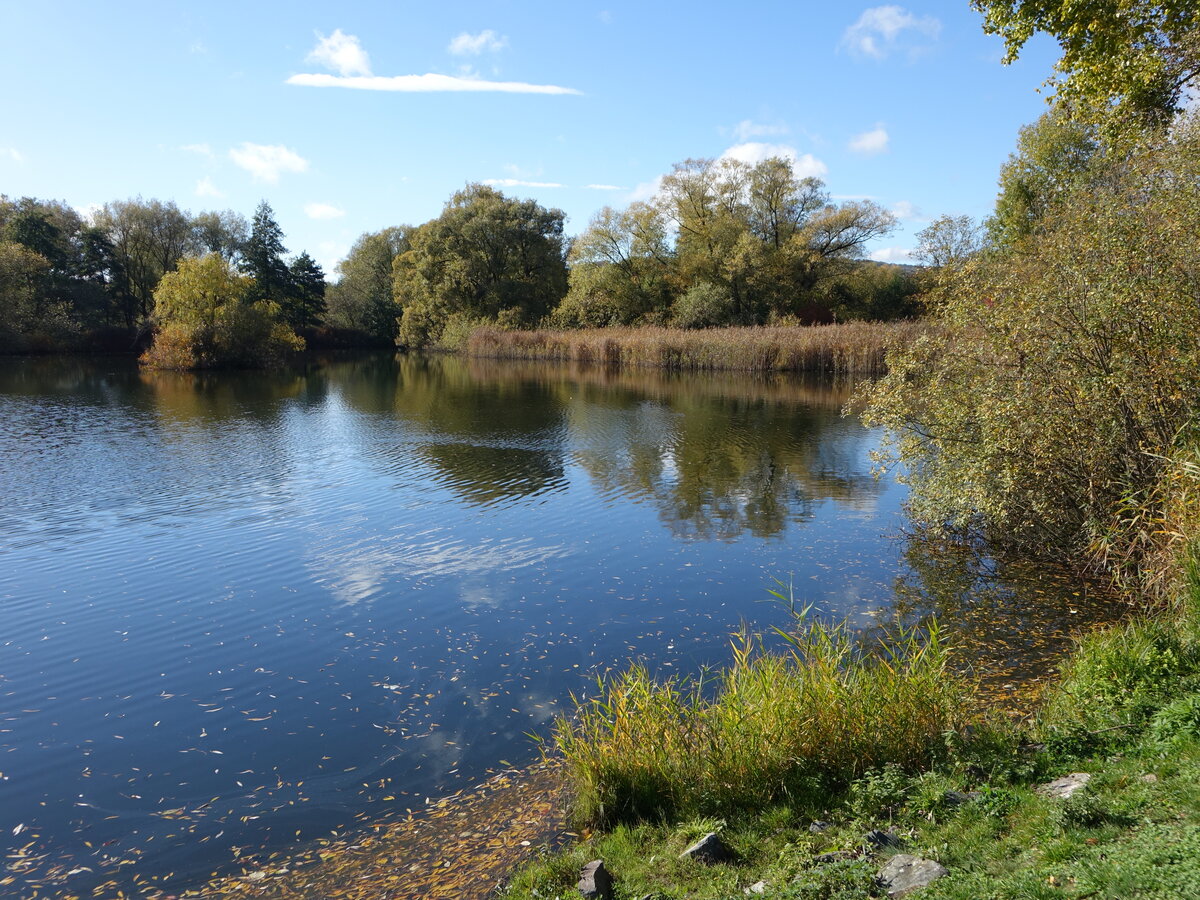 Klosterteich bei Thalbürgel, Saale-Holzland Kreis (22.10.2022)