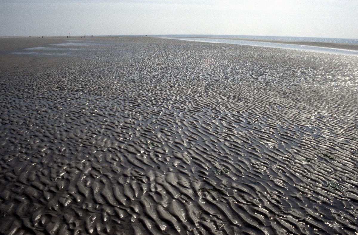 Kniepsand auf Amrum. Bild vom Dia. Aufnahme: August 1999.