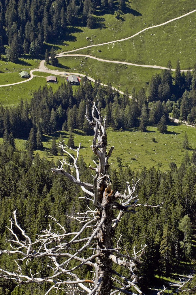 Königsberg-Alm im Berchtesgadener Land. Aufnahme: Juli 2008.