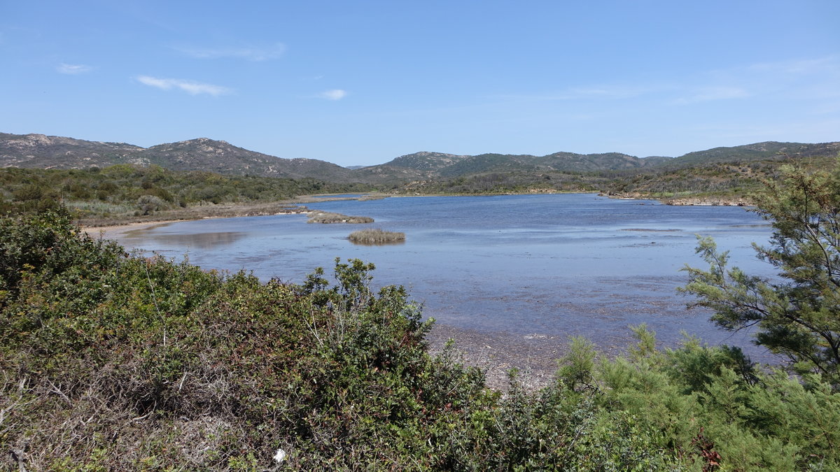 Korsika, Baja Figari an der Straße T40 (20.06.2019)