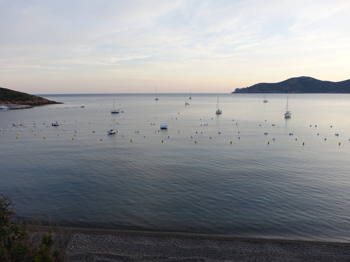 Korsika, morgens in der Bucht von Galeria (20.06.2019)