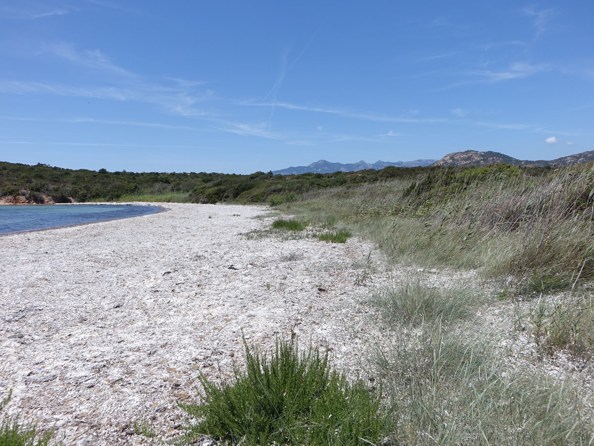Korsika, Strand Baja de Figari bei Pianottoli Caldarello (20.06.2019)