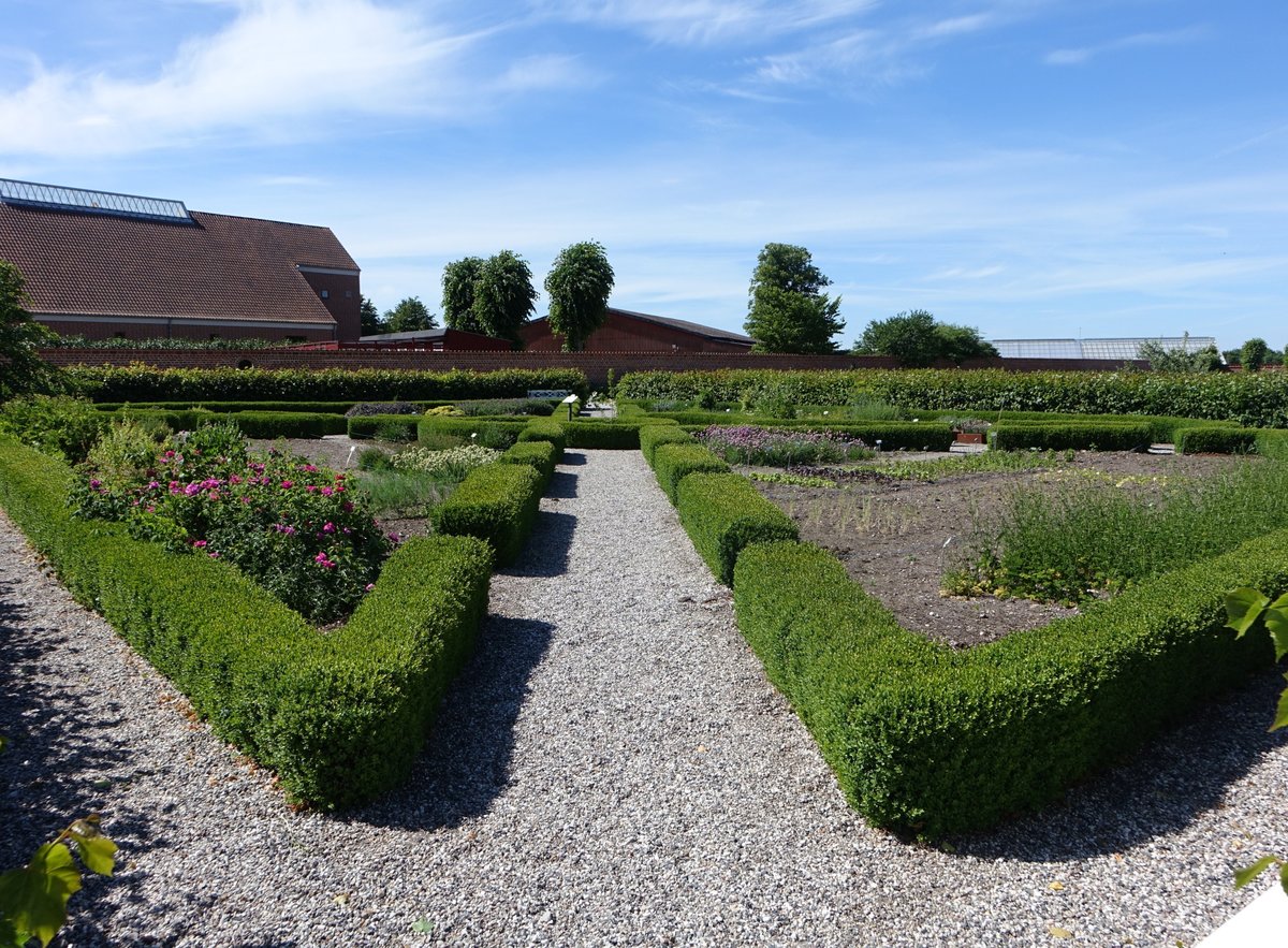 Kräutergarten im Schloßpark Estrup, Norddjurs Kommune (06.06.2018)