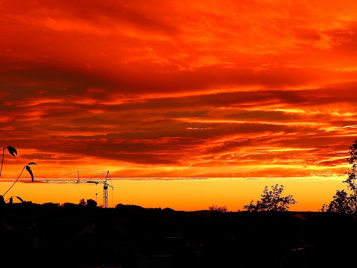 Kran im Abendrot, nächst der kleinen Stadt RIED i.I:; 220822 