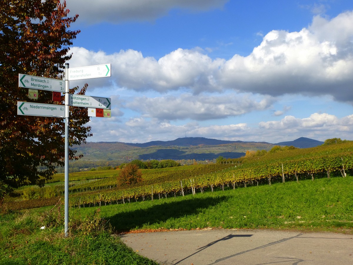 Kreuzung am Tuniberghhenweg, im Hintergrund der Kaiserstuhl, Okt.2015