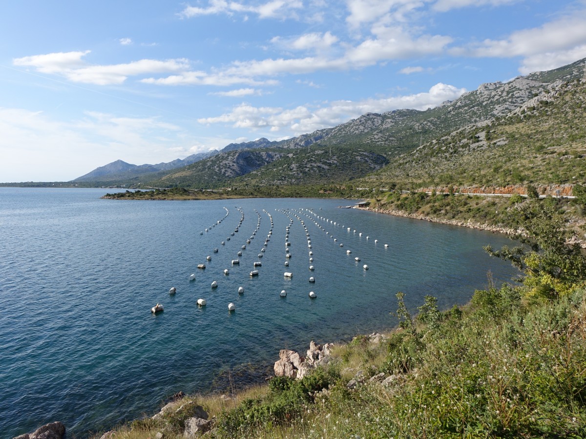 Kroatien, Bucht bei Rovanjska (23.09.2015)
