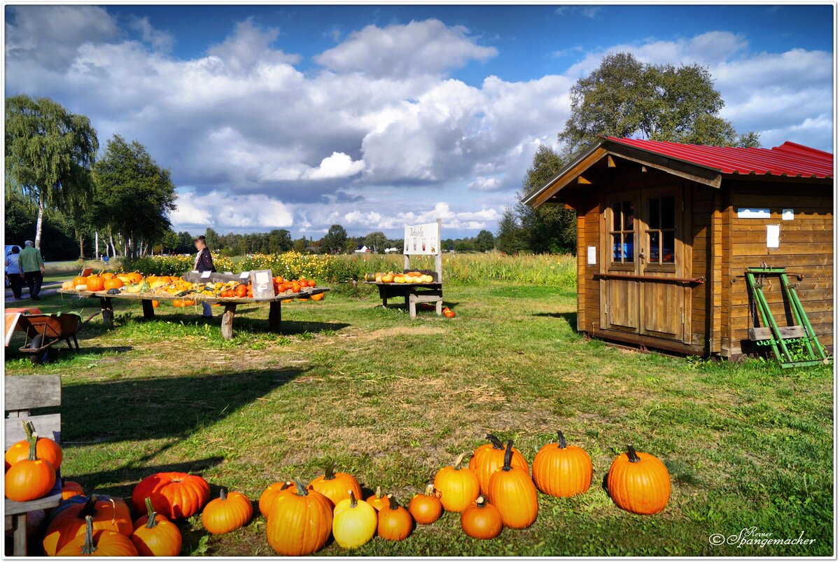 Kürbis & Schnittblumenverkauf direkt vom Feld, in Wintermoor ein Ortsteil von Schneverdingen. Lüneburger Heide Anfang September 2022.