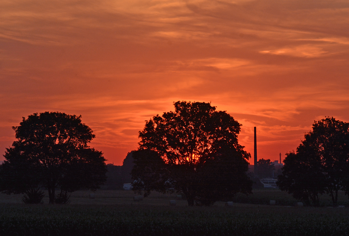Kurz vor Sonnenuntergang in der Voreifel - 02.08.2015