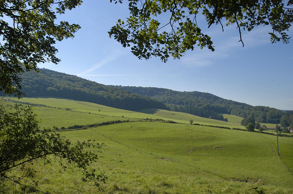 La Petite Suisse bei Consdorf in Luxemburg. Aufnahme: Juli 2007.