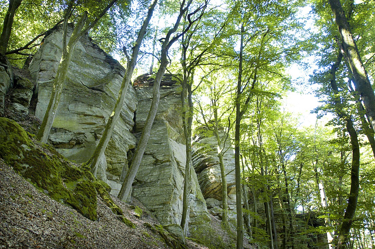 La Petite Suisse/Kleine Luxemburger Schweiz: Sandsteinfelsen im Wald bei Berdorf. Aufnahme: August 2007.