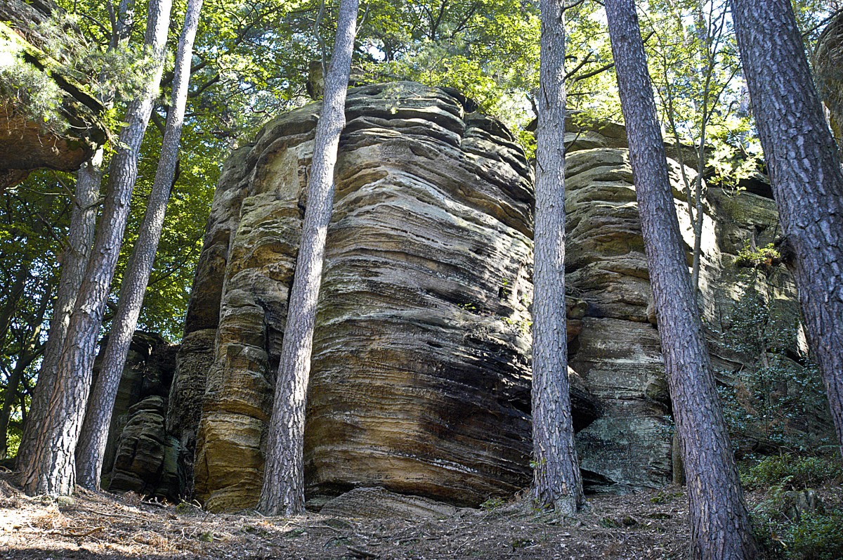 La Petite Suisse/Kleine Luxemburger Schweiz: Sandsteinfelsen im Wald bei Berdorf. Aufnahme: August 2007.