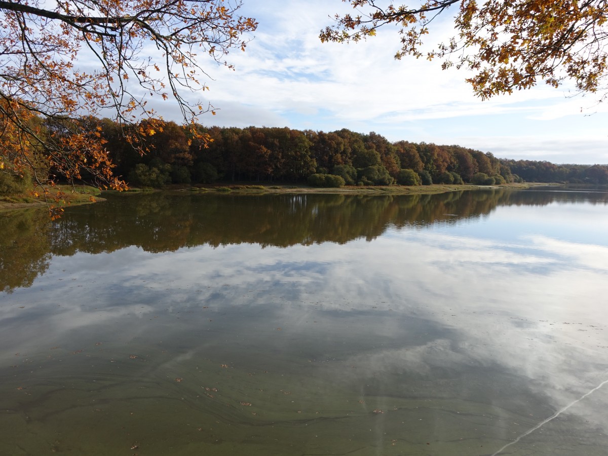 Lac du Bourdon bei Puisaye, Burgund (29.10.2015)