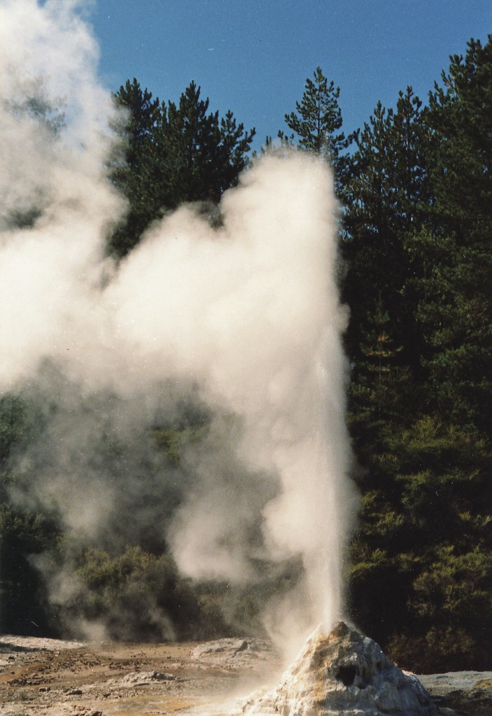 Lady Knox in Wai-o-tapu Thermalgebiet südlich von Rotorua. Aufnahme: Februar 1987 (digitalisiertes Negativfoto).