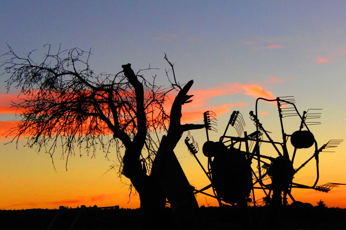 Ländliche Sommersilhouette mit knorrigem,alten Baum und Heuwender bei Hohnhausen, aufgenommen am 2.6.2015