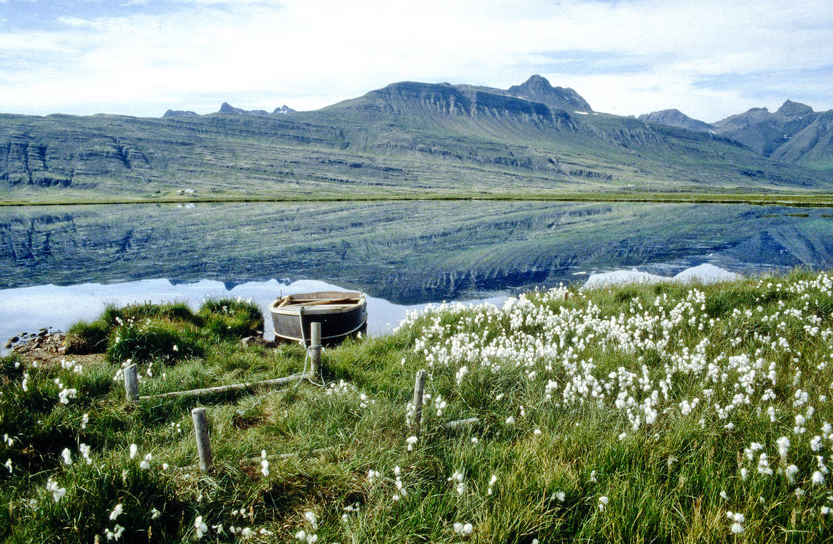 Lagarfljót südlich von Egilsstaðir. Bild vom Dia. Aufnahme: Juli 1995.