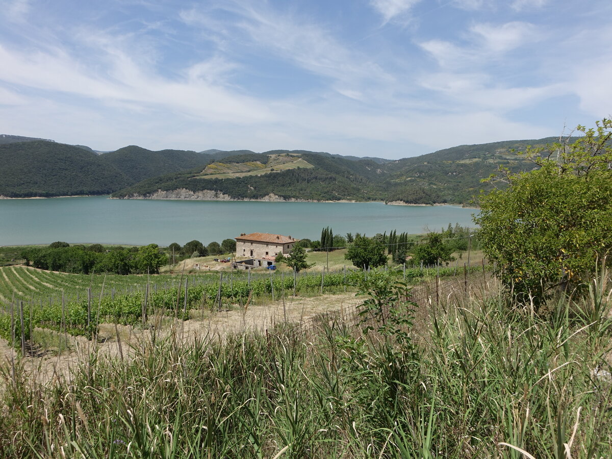 Lago di Corbara bei Civitella del Lago, Umbrien (24.05.2022)