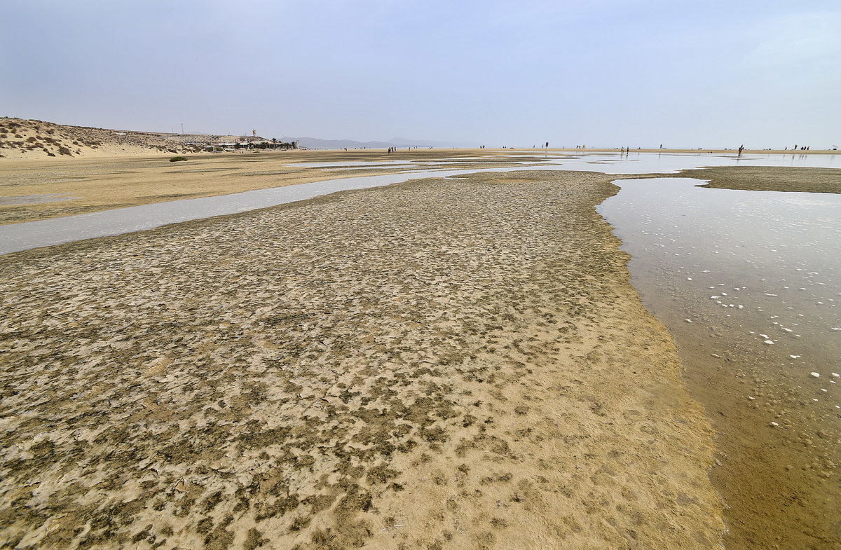 Laguna de Sotavento an der Insel Fuerteventura. Aufnahme: 16. Oktober 2017.