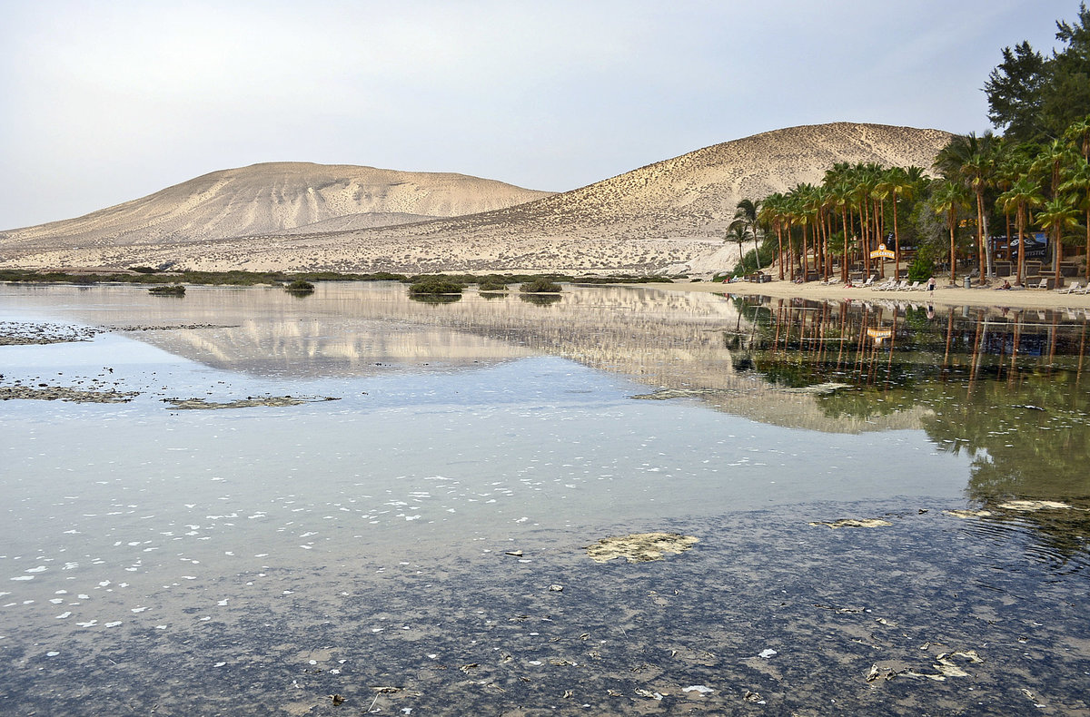 Laguna de Sotavento an der Insel Fuerteventura. Aufnahme: 16. Oktober 2017.