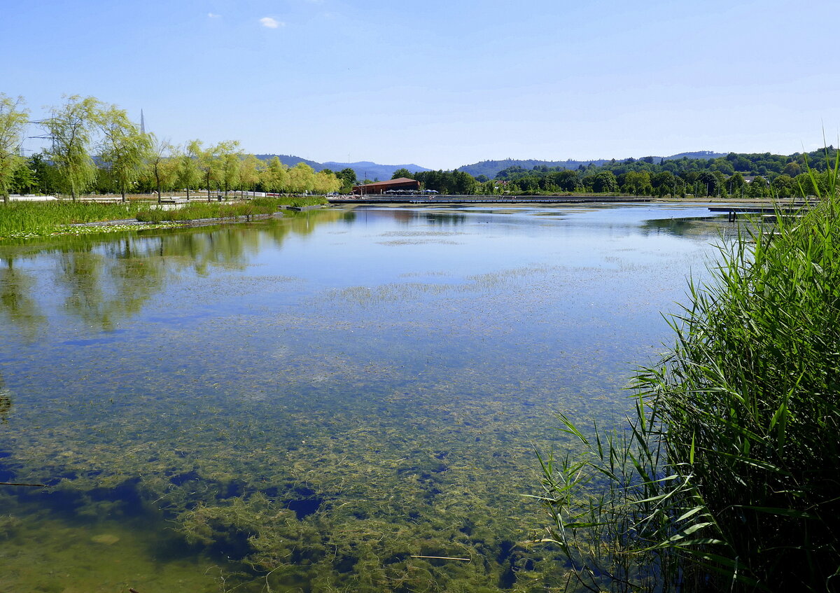 Lahr, Blick über den zur Landesgartenschau 2018 künstlich angelegten Stegmattensee am Stadtrand, Aug.2022