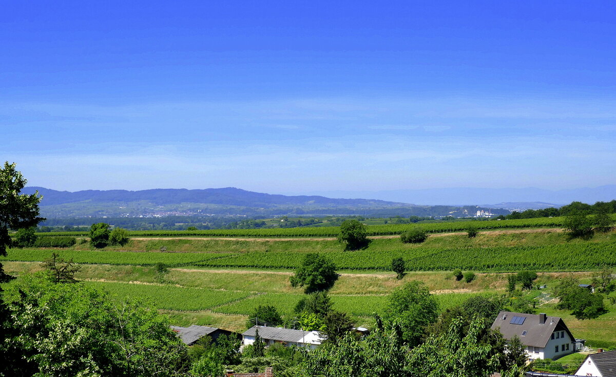 Landeck, Blick von der Burgruine Landeck nach Westen auf die Nordausläufer des Kaiserstuhles, Juni 2022