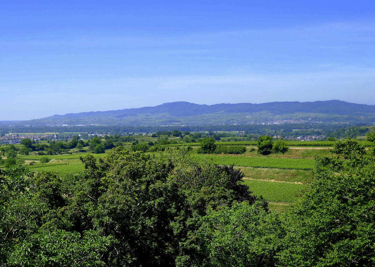 Landeck, Blick von der Burgruine Landeck zum Kaiserstuhl, Juni 2022