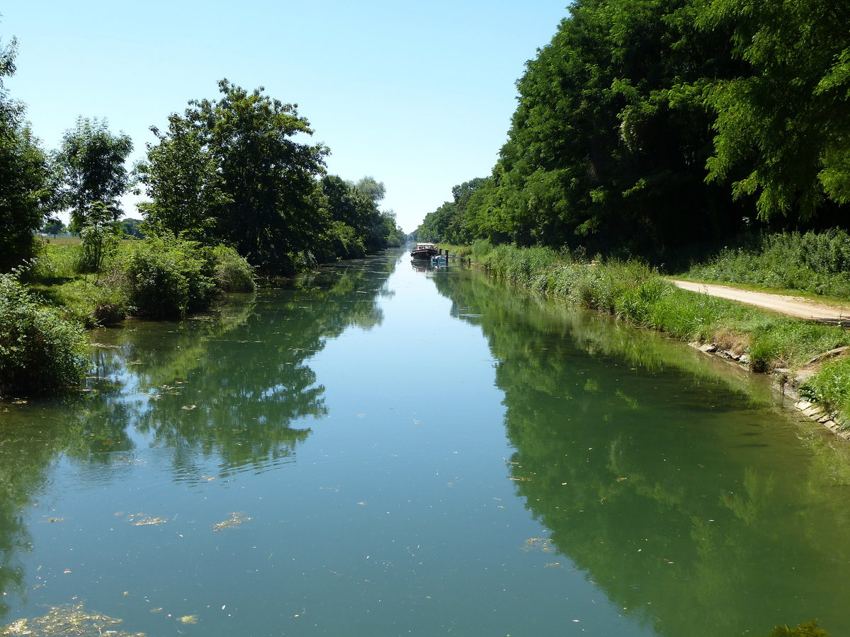 Landschaft am Colmar-Kanal im Elsa, Juli 2016