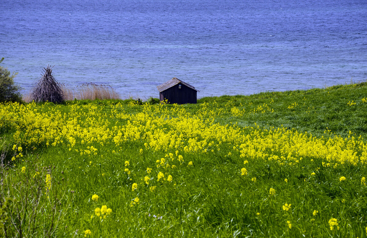 Landschaft am Höruphaff (Høruphav) auf der dänischen Insel Alsen (Nordschleswig). Aufnahme: 20. Mai 2021.