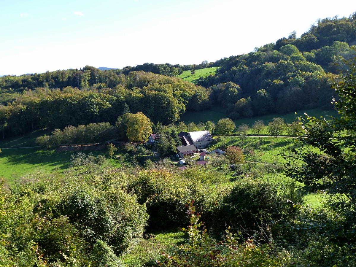 Landschaft am Schnberg bei Freiburg, Okt.2014