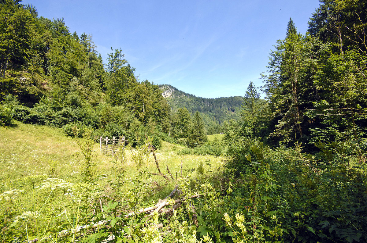 Landschaft am Weg zur Pokljuka Schlucht in Slowenien. Aufnahme: 3. August 2016. Aufnahme: 3. August 2016.