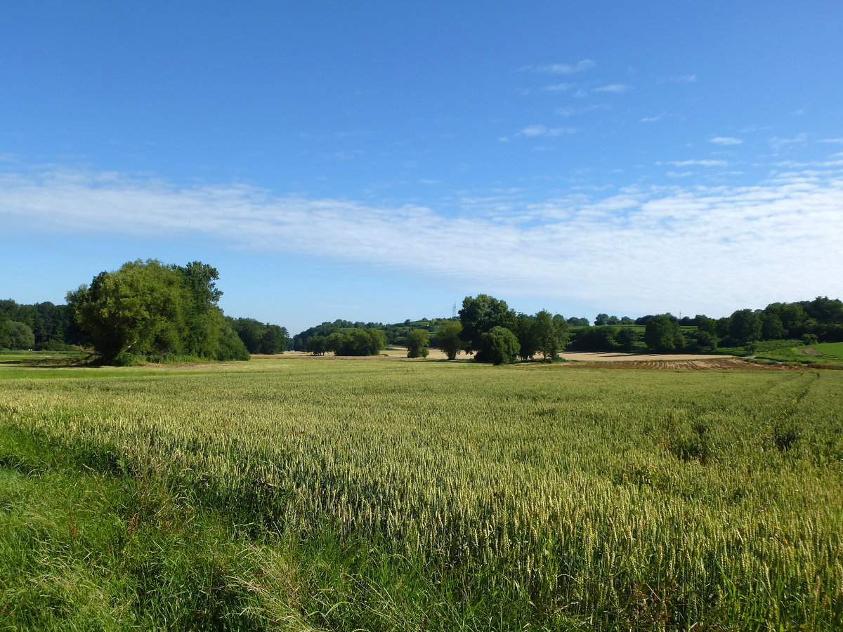 Landschaft am westlichen Marchhügel bei Neuershausen, Juni 2018