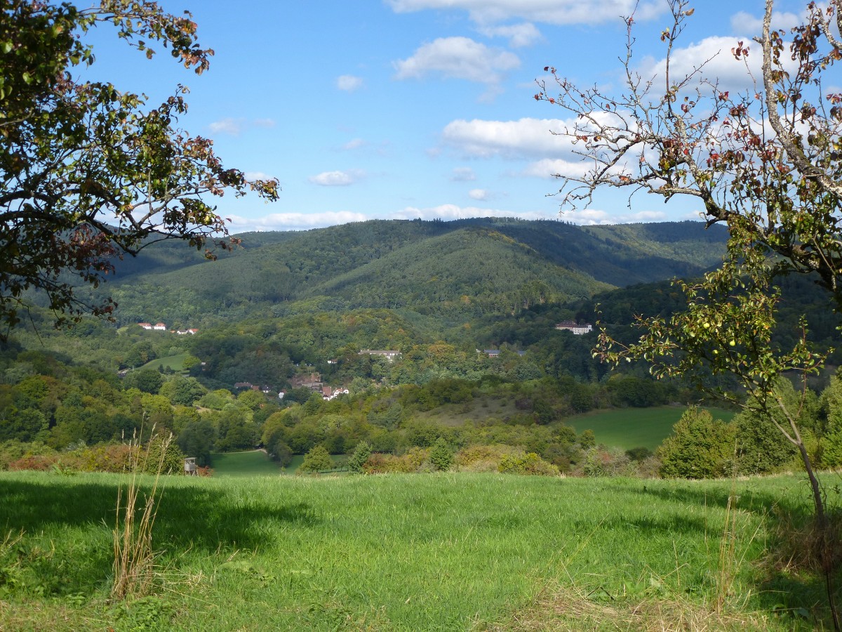 Landschaft an der Grenze Nordvogesen-Pfälzerwald, mit Blick auf den Ort Weiler, Sept.2015