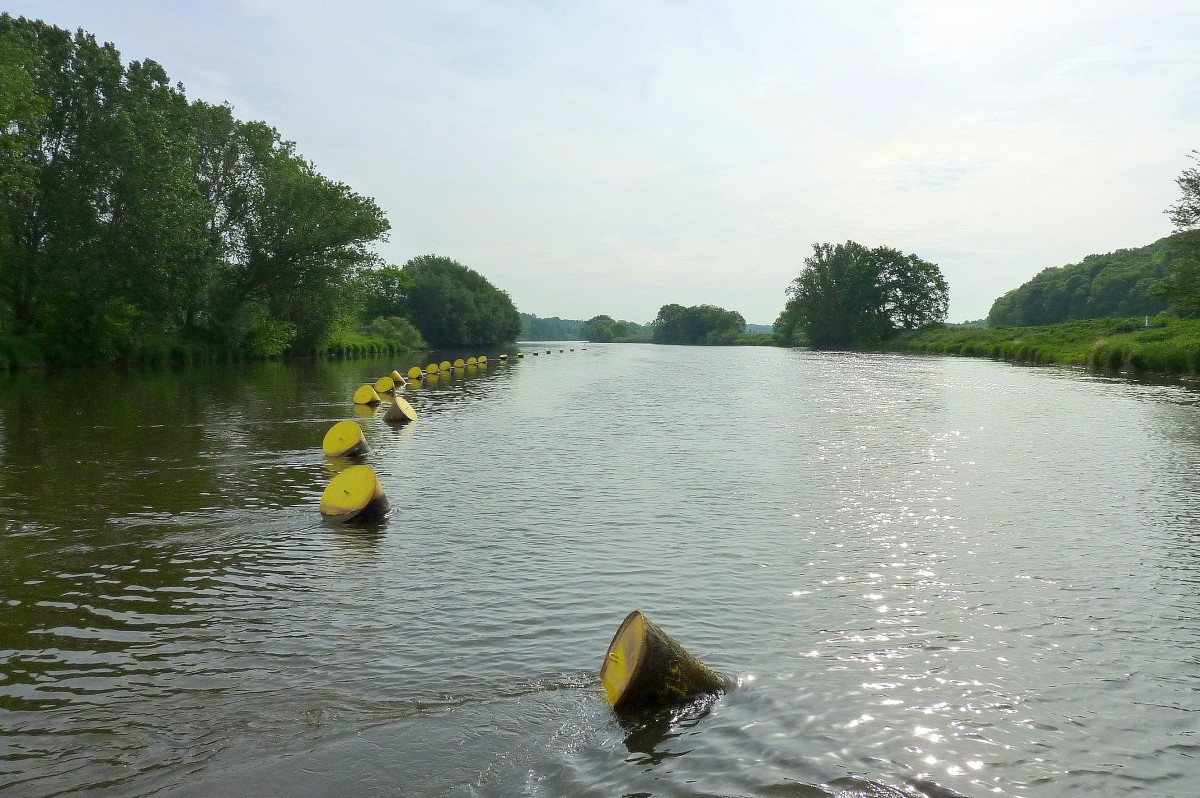 Landschaft an der Saale, gesehen von der Gierseilfhre bei Brachwitz, Mai 2012