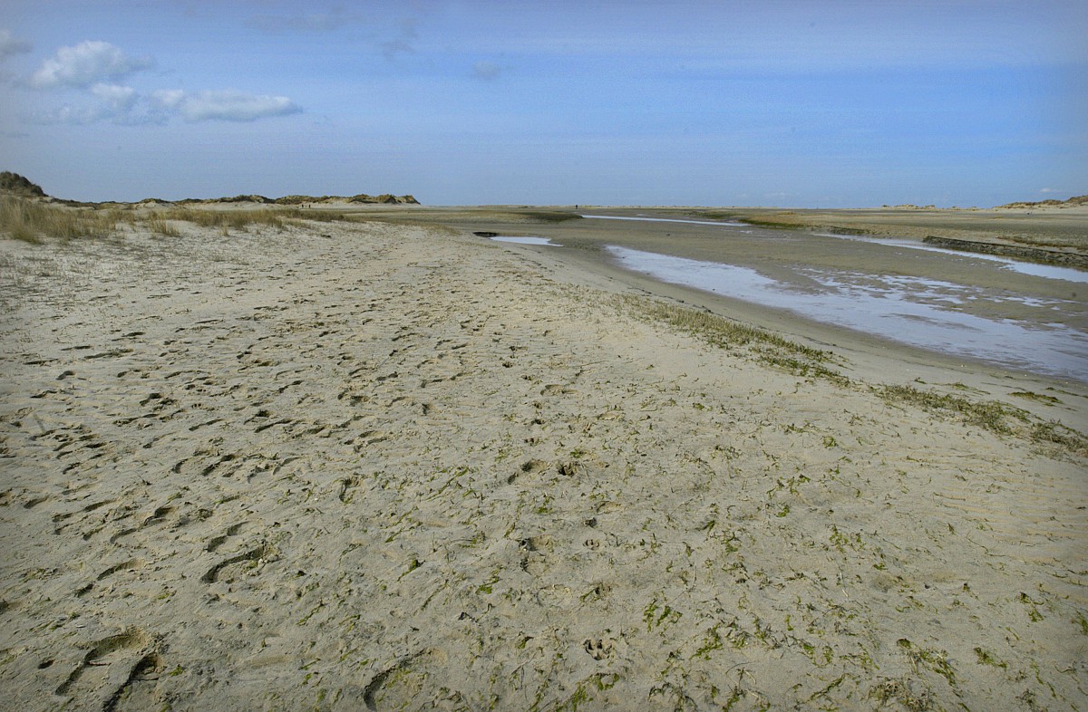 Landschaft an der Wanderweg zur Ostspitze von Norderney durch eine endlos erscheinende Welt aus Dünen. Aufnahme: März 2008.