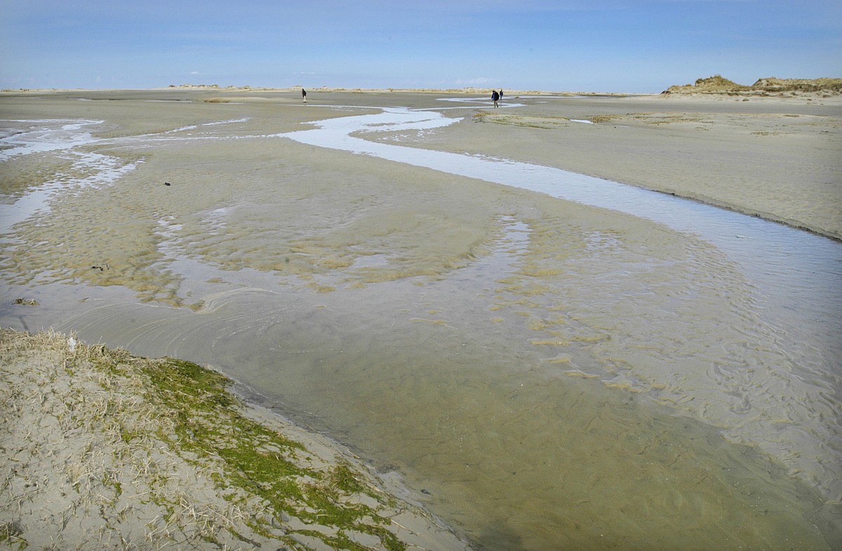 Landschaft an der Wanderweg zur Ostspitze von Norderney durch eine endlos erscheinende Welt aus Dünen. Aufnahme: März 2008.