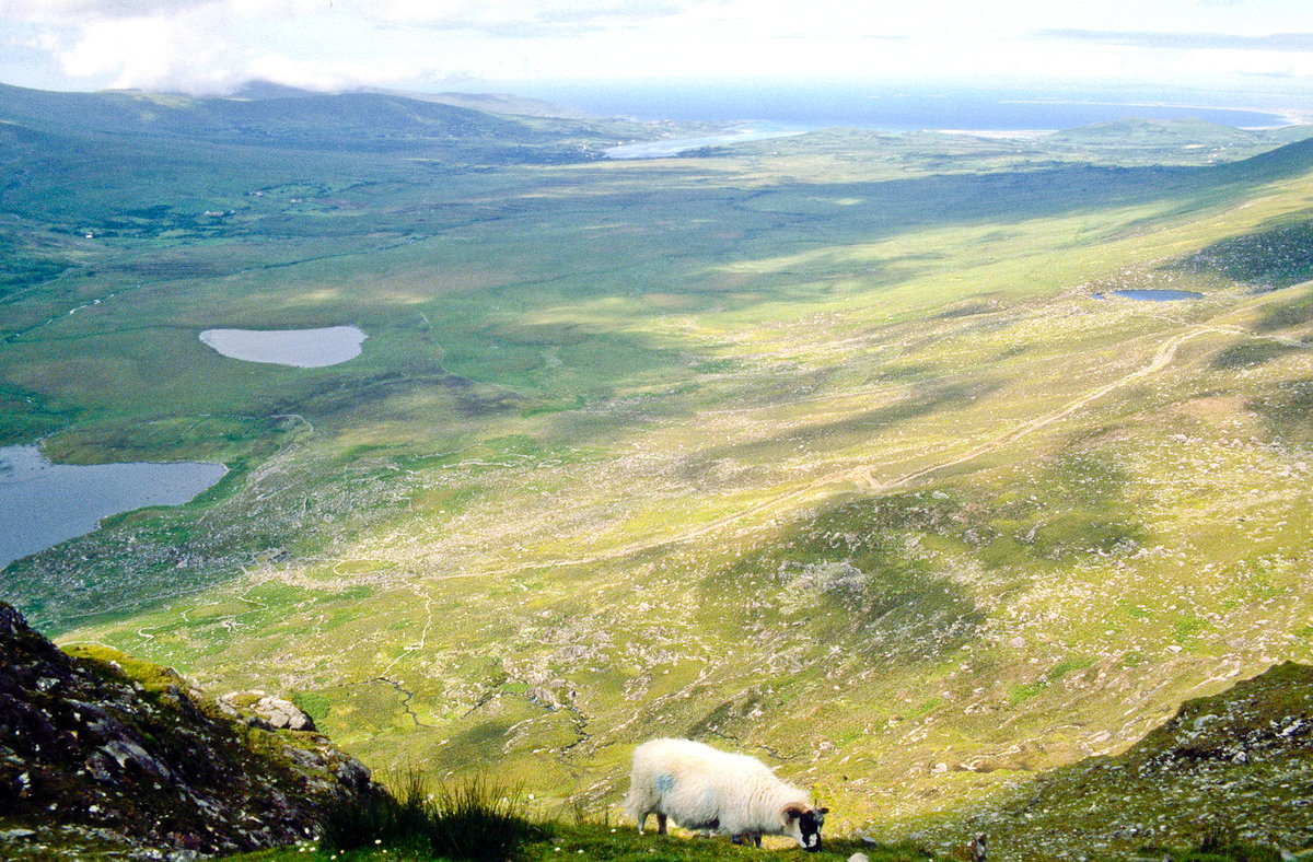 Landschaft auf der Dingle Halbinsel. Bild vom Dia. Aufnahme: Juli 1991.