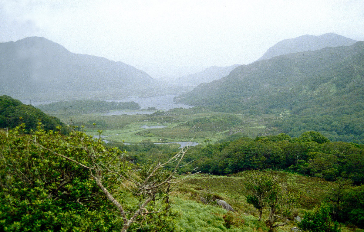 Landschaft bei Galway. Bild vom Dia. Aufnahme: Juli 1991